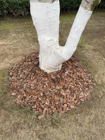 ͼƬ 3.jpg